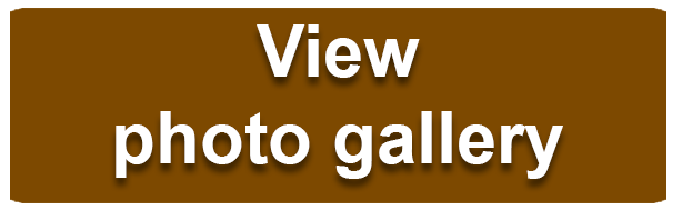 View photo gallery icon button